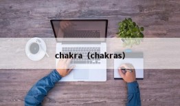 chakra（chakras）